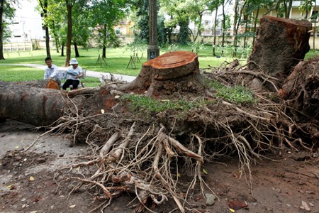 Can canh bai tap ket go “khung” sau dong loc kinh hoang o Ha Noi