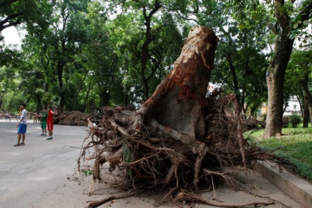 Can canh bai tap ket go “khung” sau dong loc kinh hoang o Ha Noi