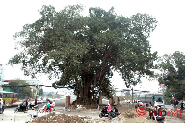 
Dự án xây dựng đường vành đai 2 Hà Nội, đoạn Nhật Tân - Xuân La - Bưởi - Cầu Giấy dài 6,4 km có tổng mức đầu tư 304,7 triệu USD (hơn 6.000 tỷ đồng).
