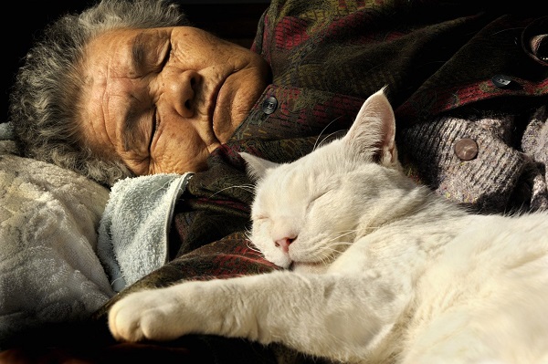 Cháu gái dành nửa thế kỷ chụp bà nội và mèo cưng