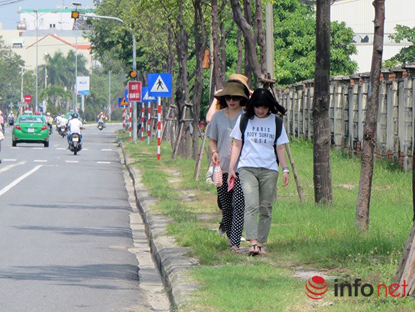 
Trong khi trên đường 2/9, du khách phải xếp hàng một đi trên vỉa hè đầy cỏ dại!
