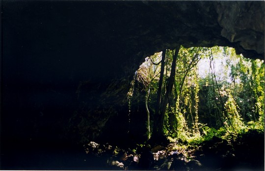 Hệ thống hang núi lửa