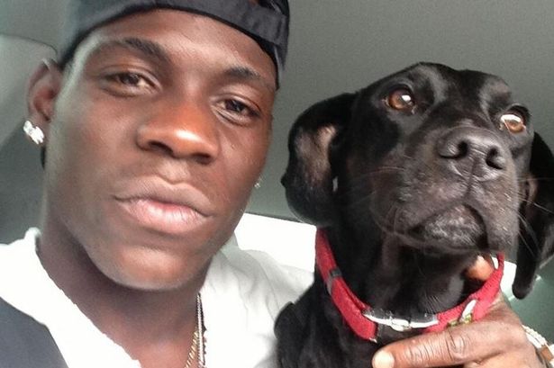 Chú chó Labrador Lucky của Balotelli