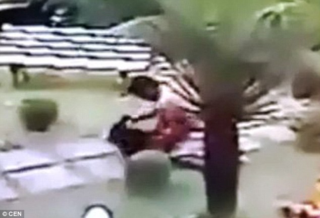 Đoạn video do camera giám sát an ninh ghi lại cho thấy Severiano đập đầu vợ xuống nền bê tông 11 lần trước khi bắn 5 phát đạn vào đầu cô.