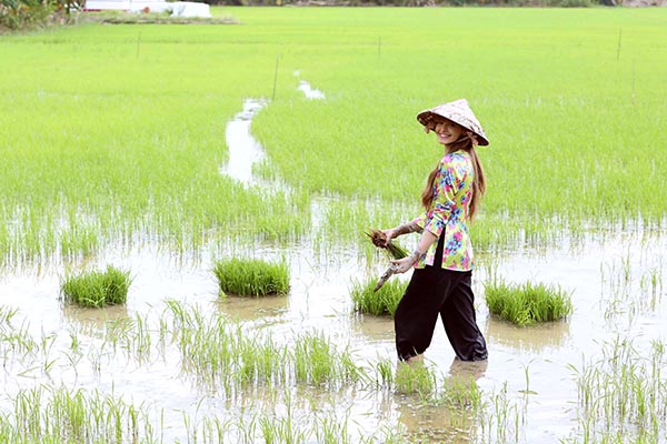 Được biết, cô quyết định ở ẩn để tham gia diễn xuất trong bộ phim Hy sinh đời trai của nhà sản xuất Trần Bảo Sơn.