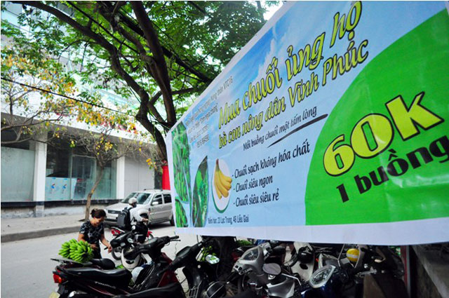 
Chương trình từ thiện kêu gọi người dân mua chuối ủng hộ nông dân Vĩnh Phúc được tổ chức tại Hà Nội.
