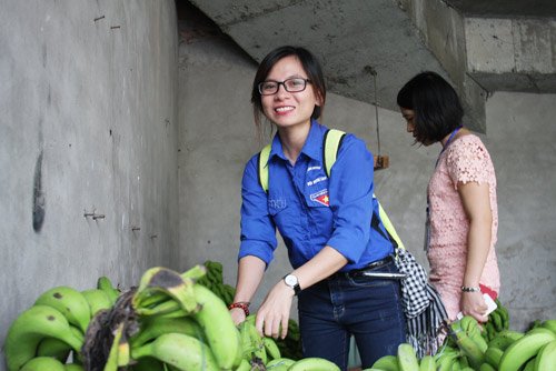 Hoàng Thị Hà (Sinh viên năm 4, HV Báo chí và Tuyên truyền Hà Nội) đang chọn chuối cho người dân đến mua