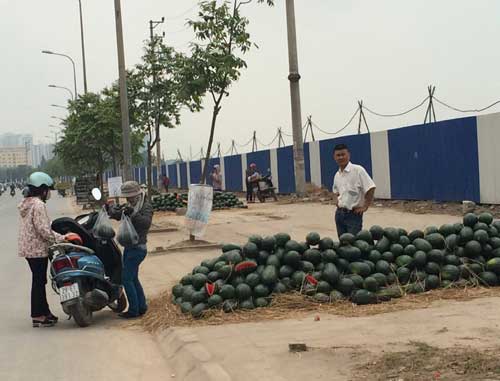 dưa hấu, xoài, ổi, thanh long, nông dân, giá rẻ, vài ngàn đồng, vỉa hè, chợ, Hà Nội, dứa, hàng rong, Nguyễn Xiển, dưa hấu miền Trung, ủng hộ, nông-sản, dưa-hấu, xoài, ổi, thanh-long, nông-dân, giá-rẻ, vài-ngàn đồng, vỉa-hè, chợ, Hà-Nội, dứa, hàng-rong, Ng