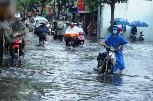 mưa lớn, đường phố Sài Gòn, ngập lênh láng, nước thối