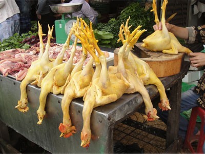 Phát hiện chất cấm vàng-ô trong chăn nuôi gà và con người có thể bị ung thư nếu ăn các loại thịt gà có tồn dư chất này