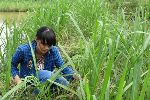 
Hàng ngày Nhi phải gánh vác việc đỡ đần giúp mẹ.
