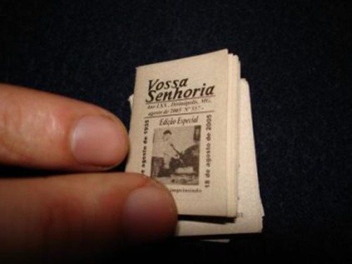 Kỷ lục khổ báo nhỏ nhất thuộc về tờ Vossa Senhoria của Brazil.