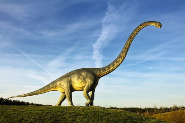 Những con khủng long ăn cỏ khổng lồ tiêu thụ một lượng lớn thực vật mỗi ngày.