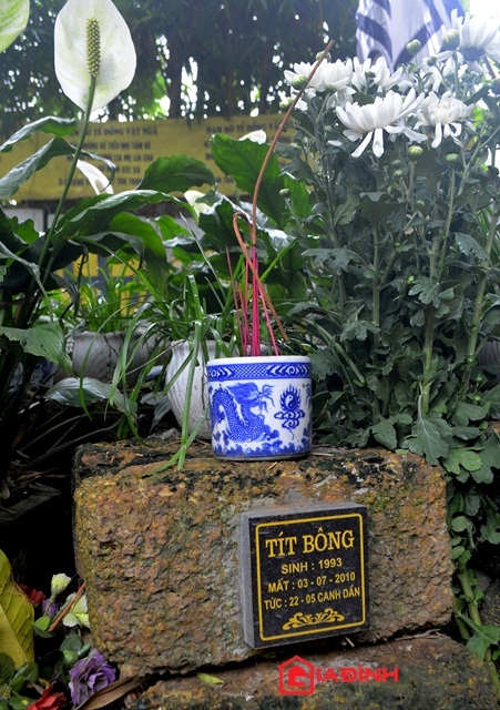 Nghĩa trang dành riêng cho chó, mèo 3