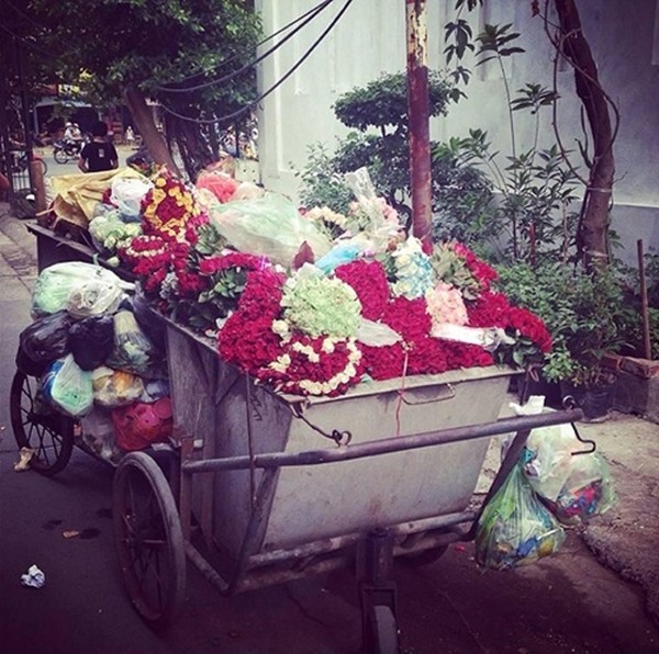 Rác hoa chất đầy thùng rác sau ngày 20/10. Ảnh Internet.