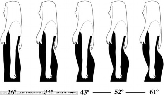 Đàn ông thích phụ nữ có phần cột sống dưới cong 45,5 độ. 