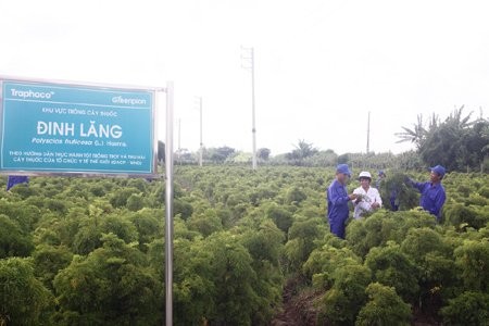 “Cơn vận hạn” của các làng nghề dễ lý giải. Tuy nhiên, không phải ai cũng sẵn sàng cam chịu.