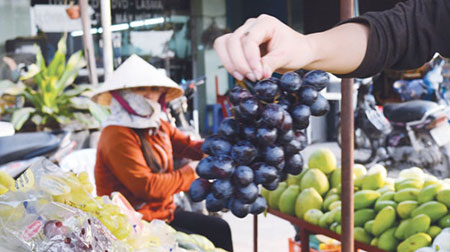 Trái cây Trung Quốc đội lốt Mỹ; nho Trung Quốc được bày bán trên đường Kha Vạn Cân, Q.Thủ Đức, TP.HCM - Ảnh tư liệu Tuổi Trẻ