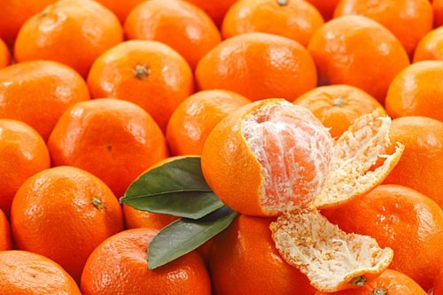  Vì nhu cầu vitamin C cần cho mỗi người trong ngày 3 quả quít là đủ. Nếu ăn nhiều có hại cho vòm miệng và răng. Đặc biệt là không nên ăn quýt.