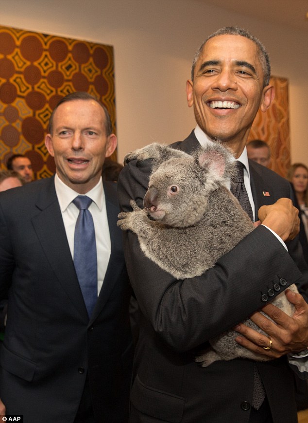 Tổng thống Mỹ Barack Obama (phải) cũng vui vẻ ôm koala tại G-20. Ảnh: Daily Mail.