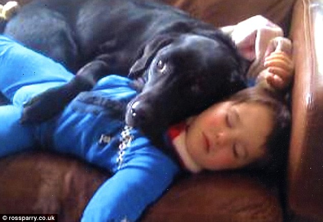 Hình ảnh cậu bé Joshua đáng yêu đang ngủ say bên chú chó.