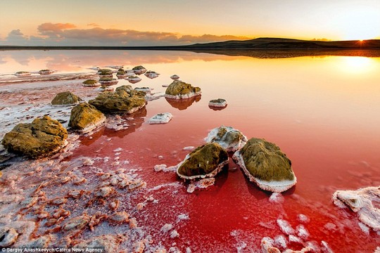 Hồ nước mặn Koyashskoye ở bán đảo Kerch thuộc Crimea. Ảnh: Caters News Agency