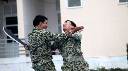 36 đường võ hiểm của Việt Nam mà MMA cũng phải cúi đầu - Ảnh 6.