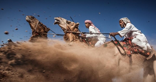 
Bức ảnh Cuộc đua lạc đà truyền thống ở Ả Rập của tác giả Ahmed Al Toqi là tác phẩm giành giải ba trong cuộc thi năm nay. &nbsp;Đây là một trong những cuộc đua truyền thống dành của người Ả Rập. Mục đích của cuộc thi là thể hiện được vẻ đẹp và sức mạnh của loài lạc đà Ả Rập cũng như kỹ năng của người điều khiển chúng.
