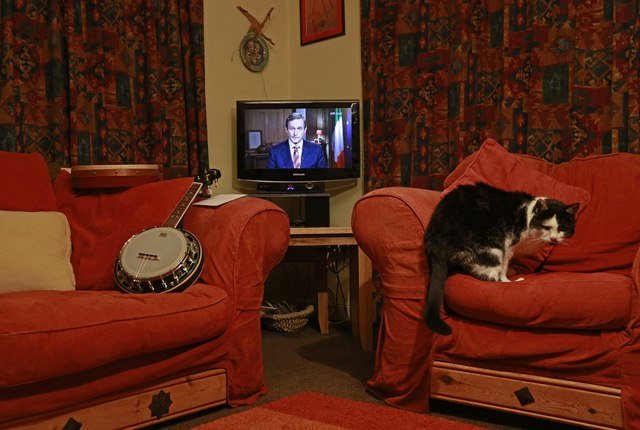 
Một chú mèo “quay lưng” lại màn hình TV ở Donegal (Ai-len).
