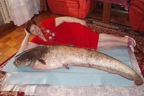 
Bức hình giới thiệu bản thân của quý bà nằm bên chú cá khổng lồ. Thông điệp của cô ấy hẳn là: Tôi muốn bắt được một mẻ cá lớn.
