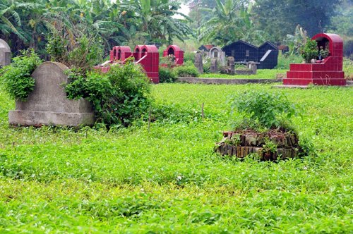 
Những ngôi mộ được bao bọc bởi những ruộng rau muống xanh mơn mởn.
