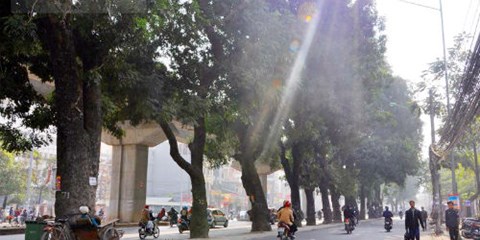 dự án, đường sắt trên cao, không yêu cầu, chặt cây xanh, Hà Nội