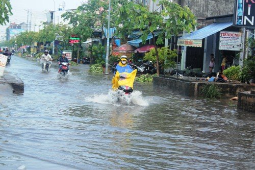mưa lớn, đường phố Sài Gòn, ngập lênh láng, nước thối