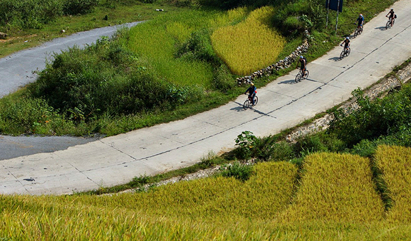 
Du khách đạp xe qua cung đường Nậm Cang.
