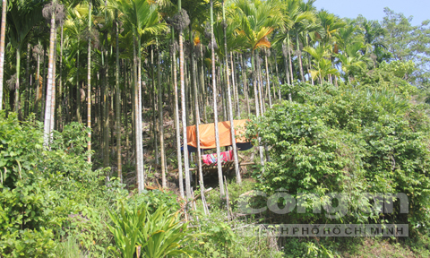 Nhà nhà dựng chòi canh giữ