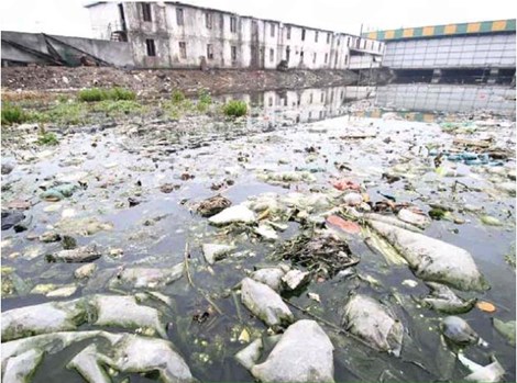 Các nhà máy sản xuất thải ra môi trường nhiều chất độc hại làm nhiều khu vực ở Trung Quốc sặc mùi ô nhiễm (ảnh: News.cn)