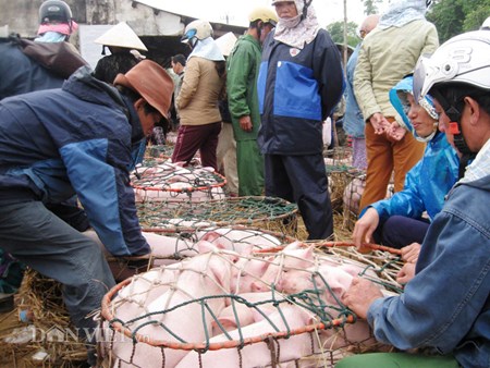 Muu sinh bang nghe... be “Thien Bong nguyen soai”