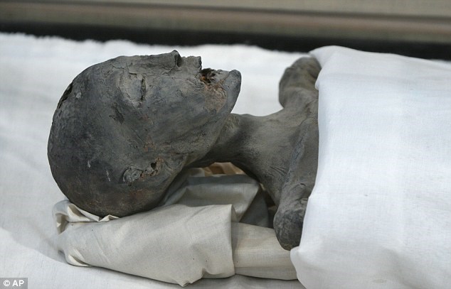 Xác ướp được cho là mẹ của Vua Tutankhamun (Nguồn: DM)