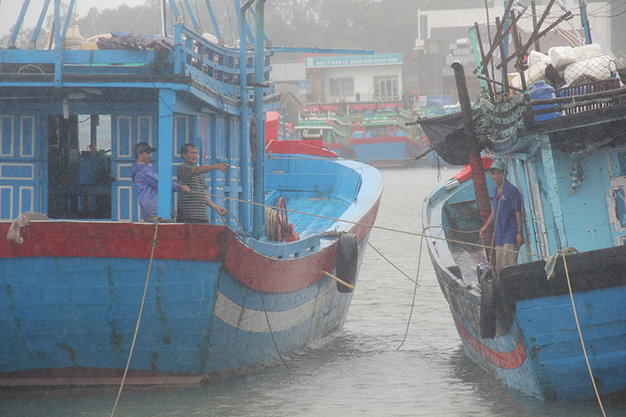 Ngư dân đội mưa neo tàu tại cảng cá Nghĩa Phú (TP. Quảng Ngãi) - Ảnh: Trần Mai