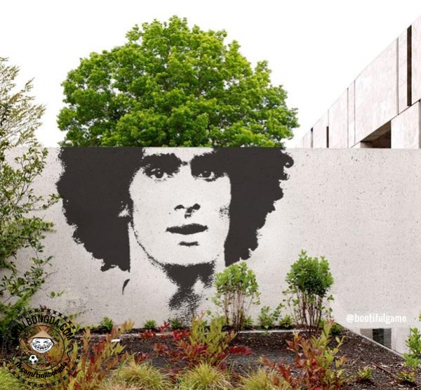 Sơn tường phong cách Fellaini