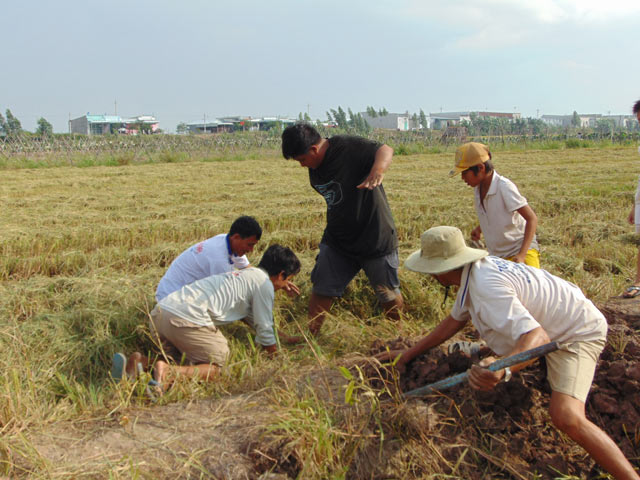 
Sau khi đánh động, chuột trong hang sẽ chạy ra.
