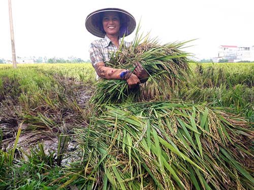 Nụ cười luôn nở trên môi.