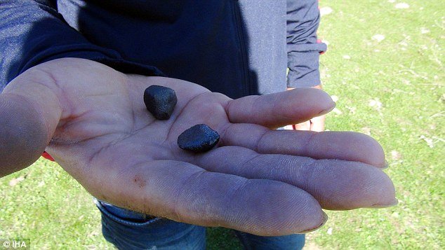 
Hai viên đá trời màu đen quý hiếm thuộc thiên thạch rơi xuống làng Thổ Nhĩ Kỳ đêm 2.9.

