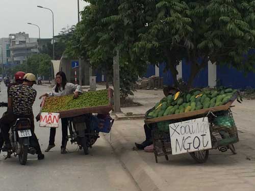 dưa hấu, xoài, ổi, thanh long, nông dân, giá rẻ, vài ngàn đồng, vỉa hè, chợ, Hà Nội, dứa, hàng rong, Nguyễn Xiển, dưa hấu miền Trung, ủng hộ, nông-sản, dưa-hấu, xoài, ổi, thanh-long, nông-dân, giá-rẻ, vài-ngàn đồng, vỉa-hè, chợ, Hà-Nội, dứa, hàng-rong, Ng