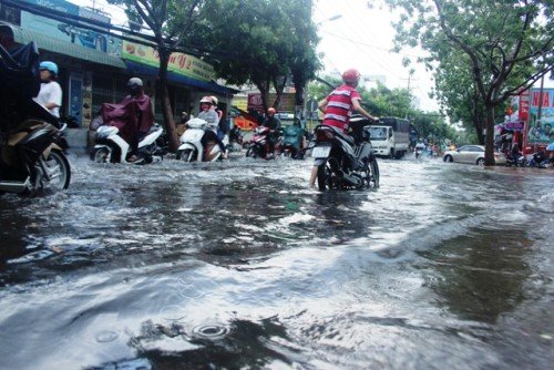 mưa lớn, đường phố Sài Gòn, ngập lênh láng, nước thối