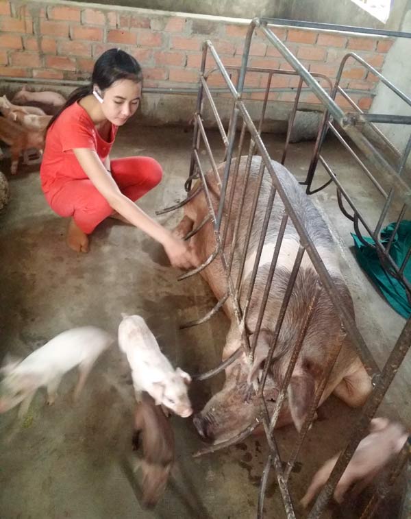 Bà chủ hot girl 9x nuôi lợn bán mỹ phẩm thu nhập ‘khủng’ từng làm thuê rửa bát xách vữa