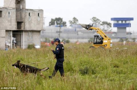 Cảnh sát Mexico và Mỹ đang ráo riết truy lùng tung tích của Guzman