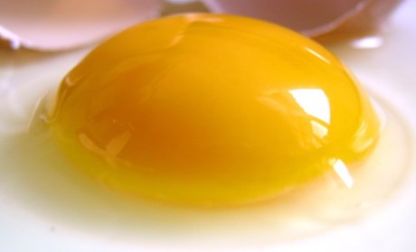 
Màu lòng đỏ trứng: Màu lòng đỏ trứng được xác định bằng chế độ ăn uống của một con gà mái. Nếu bạn đập vỡ một quả trứng có lòng đỏ màu vàng sẫm, có nghĩa là con gà đã ăn các loại rau xanh. Lòng đỏ màu vàng tươi, có nghĩa là con gà ăn lúa mạch và lúa mì và một lòng đỏ màu vàng vừa là kết quả của chế độ ăn cỏ linh lăng và bắp.

