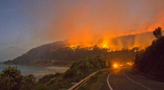 Cảnh cháy rừng ở Úc do người dân chụp được. Ảnh: Twitter/RT