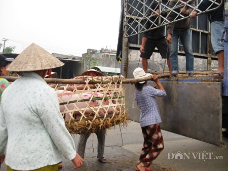 Muu sinh bang nghe... be “Thien Bong nguyen soai”